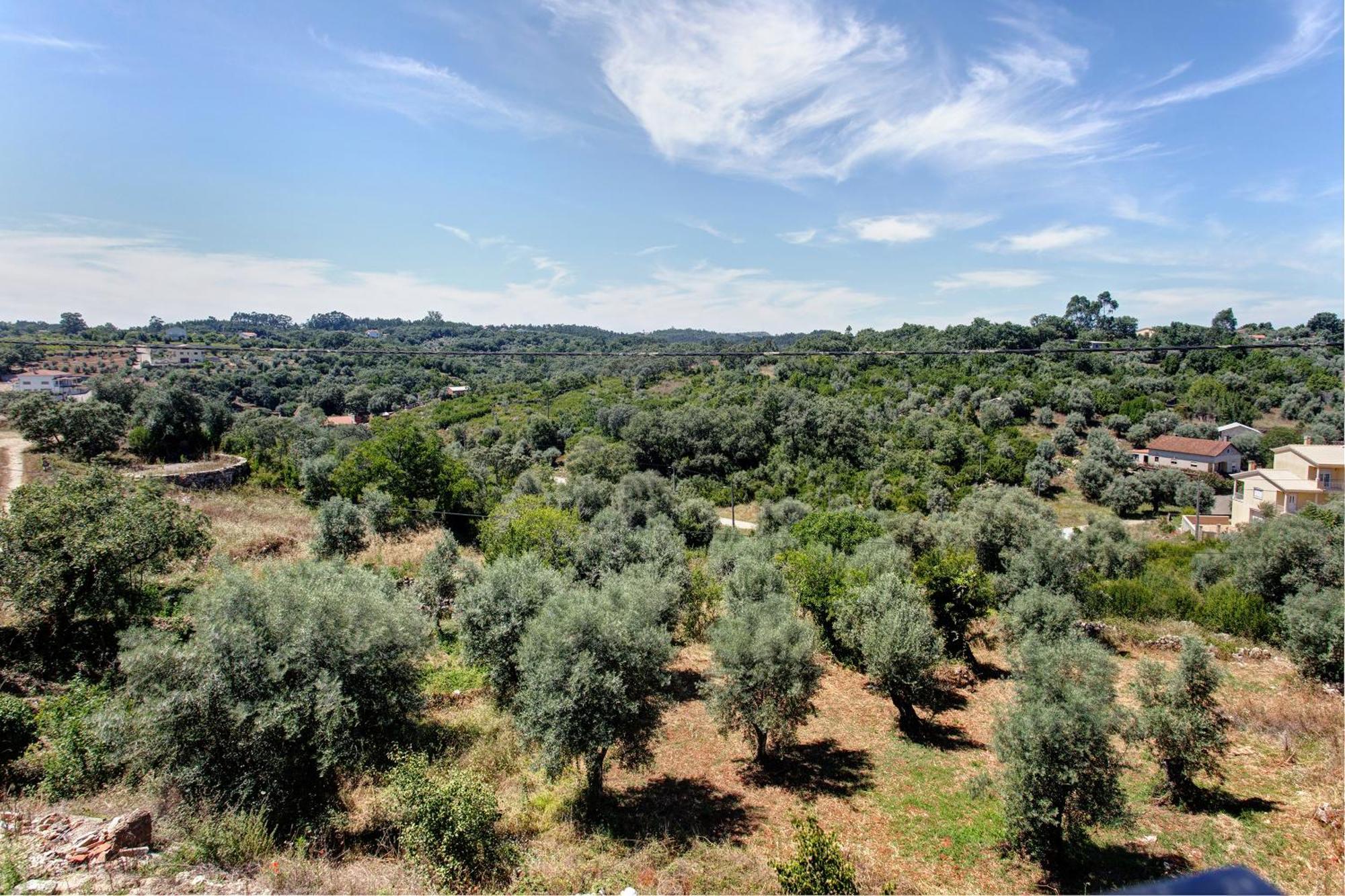 Casa Do Piao - Turismo Rural Anciao Εξωτερικό φωτογραφία